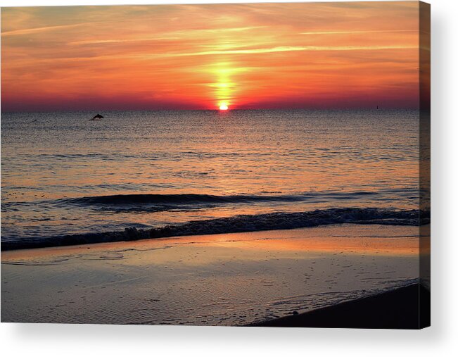 Dolphin Acrylic Print featuring the photograph Dolphin Jumping in the Sunrise by Nicole Lloyd