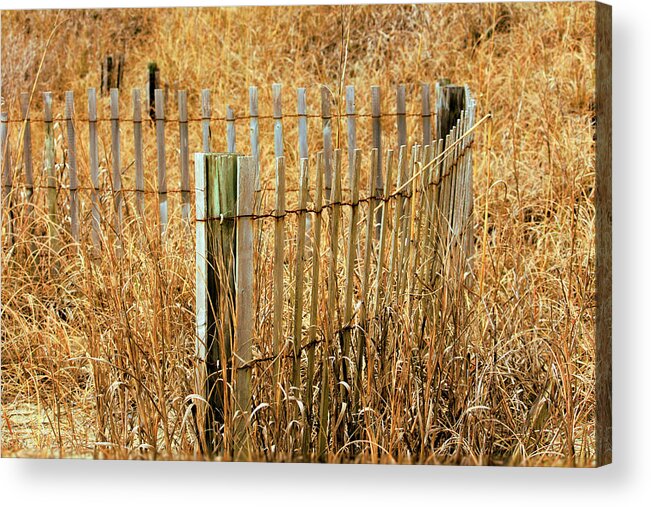 Sand Acrylic Print featuring the photograph Don' t Fence Me In by Cathy Harper