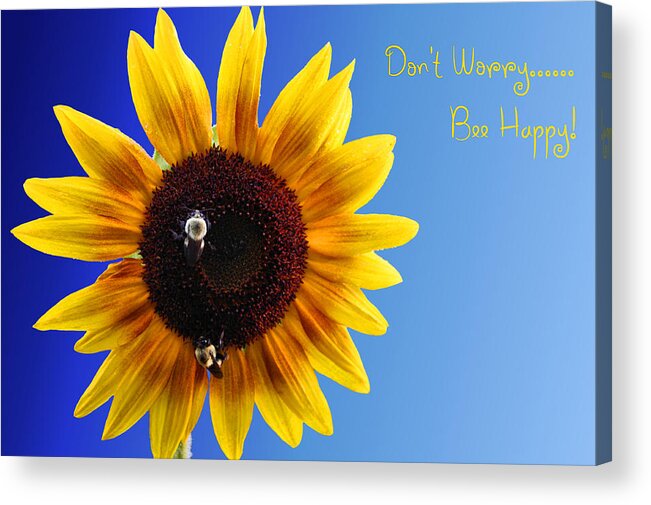 Sunflower Acrylic Print featuring the photograph Don't Worry Bee Happy by Kristin Elmquist