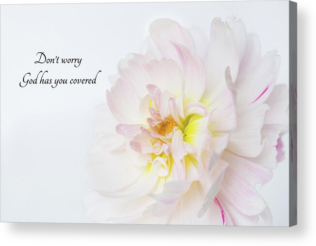 Dahlia Acrylic Print featuring the photograph Don't Worry by Mary Jo Allen