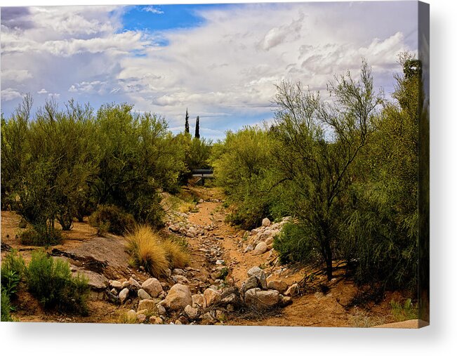 Arizona Acrylic Print featuring the photograph Down The Wash h22 by Mark Myhaver