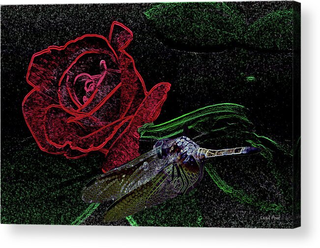 Dragonfly Acrylic Print featuring the photograph Dragonfly Dash With The Rose Neon by Lesa Fine