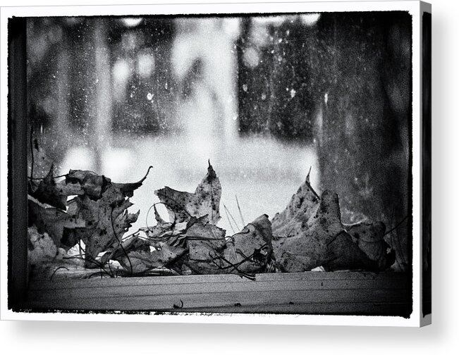 Glass Acrylic Print featuring the photograph Dream of a fallen by Venura Herath