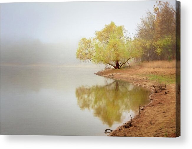 Background Acrylic Print featuring the photograph Dream Tree by Robert FERD Frank