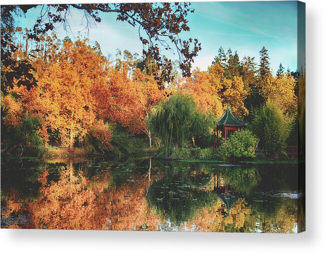Chateau Montelena Acrylic Print featuring the photograph Dreams of Gold by Laurie Search