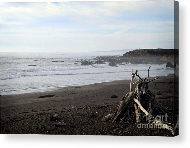 Beach Acrylic Print featuring the mixed media Driftwood and Moonstone Beach by Linda Woods