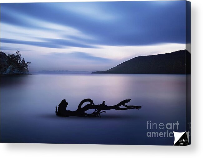 Beach Acrylic Print featuring the photograph Driftwood by Jim Hatch