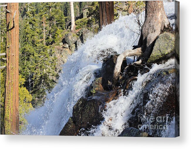Waterfalls Acrylic Print featuring the photograph Drink Lifes Water Free by Lori Mellen-Pagliaro