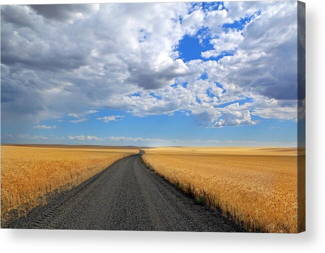 Driving Through The Wheat Fields Acrylic Print featuring the photograph Driving through the wheat fields by Lynn Hopwood