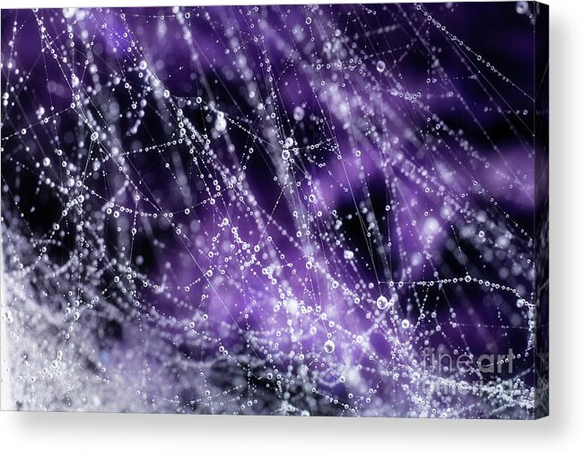 Drops Acrylic Print featuring the photograph Droplets by Mike Eingle