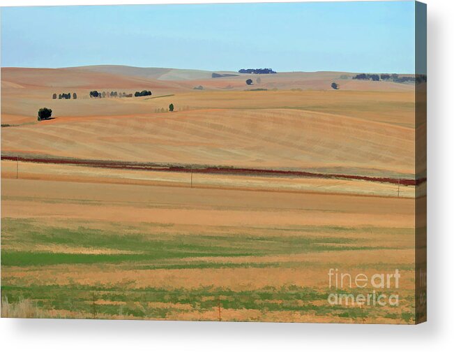 South Africa Acrylic Print featuring the photograph Drought-stricken South African farmlands - 2 of 3 by Josephine Cohn