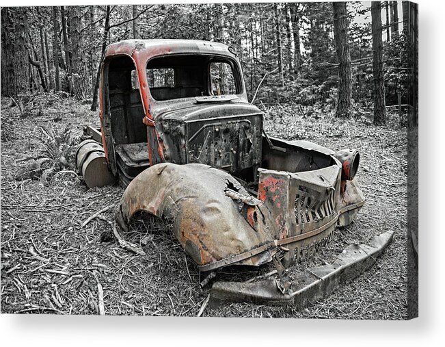 Truck Acrylic Print featuring the photograph Drove It Into The Ground by Mark Alder