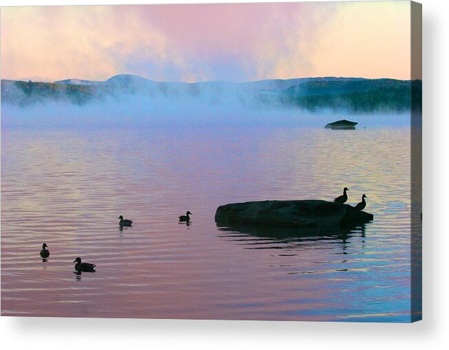  Acrylic Print featuring the photograph Ducks at Dawn by Polly Castor