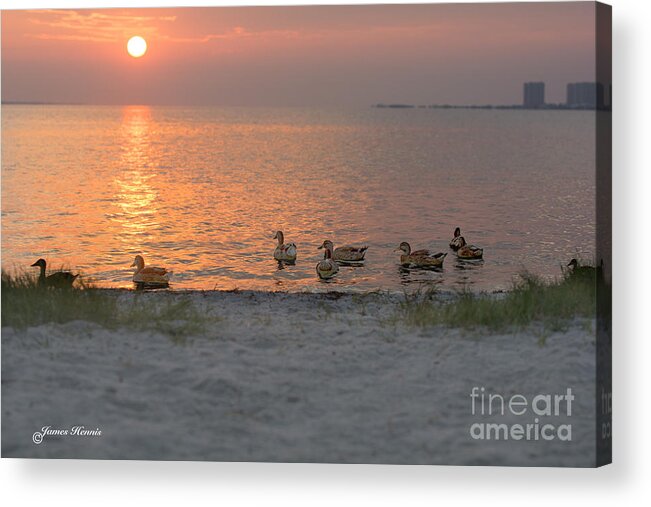 Ducks Acrylic Print featuring the photograph Ducks at Sunrise by Metaphor Photo