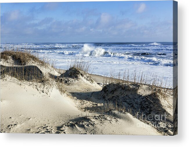 America Acrylic Print featuring the photograph Dunes and Beach by John Greim