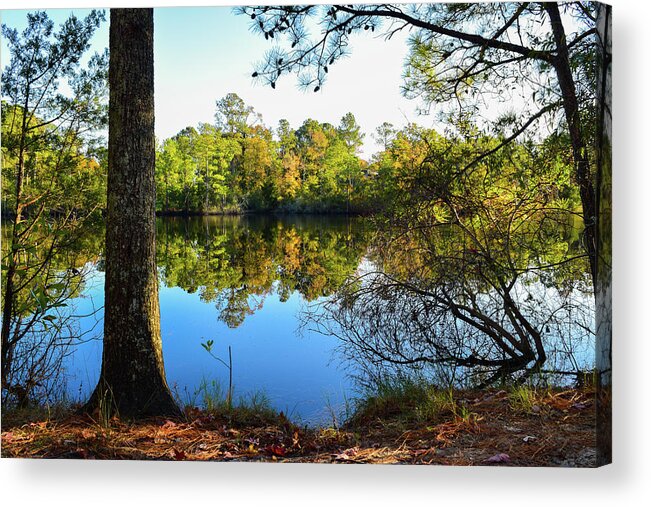 Fall Acrylic Print featuring the photograph Early Fall Reflections by Nicole Lloyd
