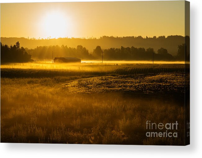 Corn Acrylic Print featuring the photograph Early Morning in the Valley by Mary Jane Armstrong