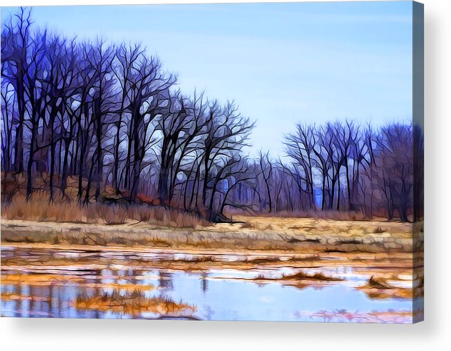 Nature Acrylic Print featuring the digital art Early spring awakening by Lilia S