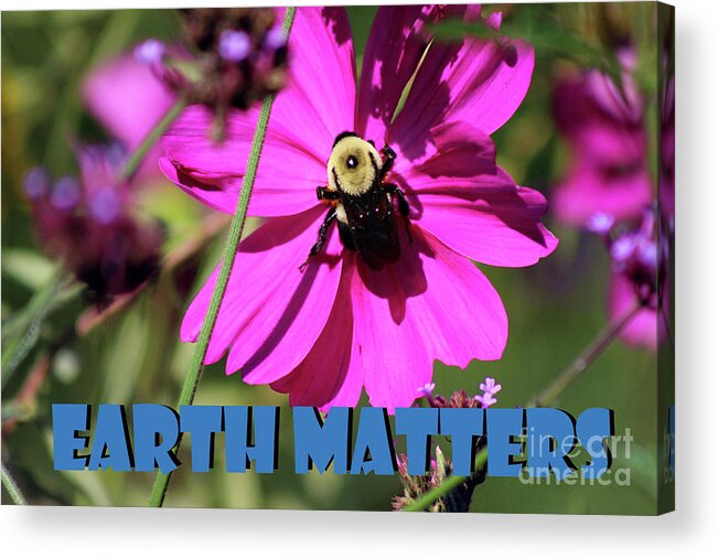Bumblebee Acrylic Print featuring the photograph Earth Matters to Bees by Karen Adams
