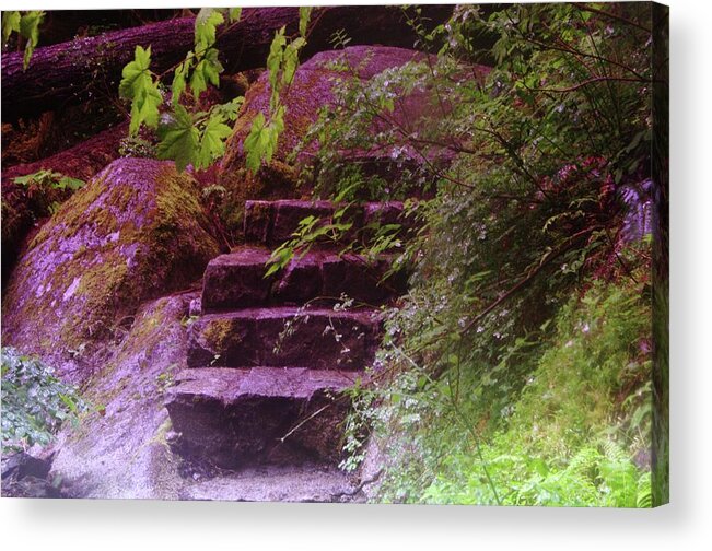 Stairs Acrylic Print featuring the photograph Easy Steps by Jeff Swan