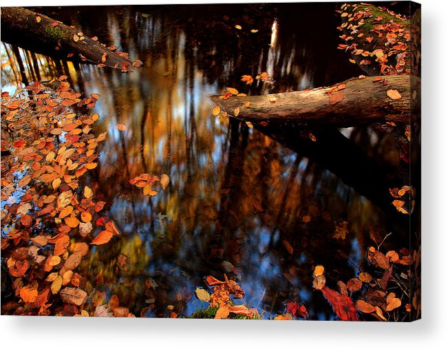 River Scene Acrylic Print featuring the photograph Edge Of Wishes by Mike Eingle