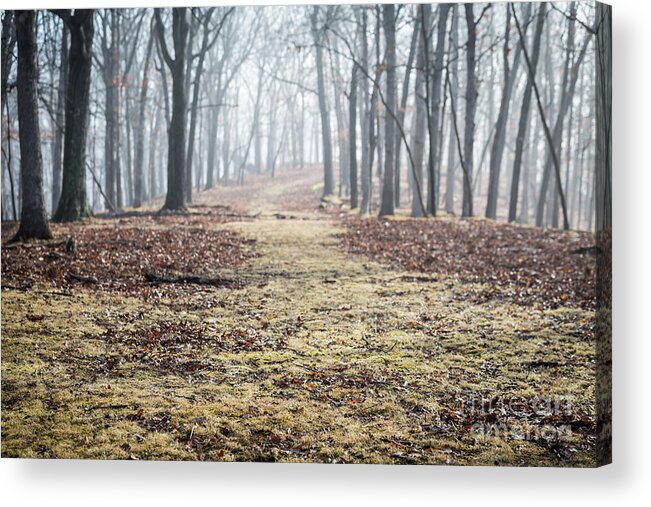Mysterious Acrylic Print featuring the photograph Eerie by Andrea Silies