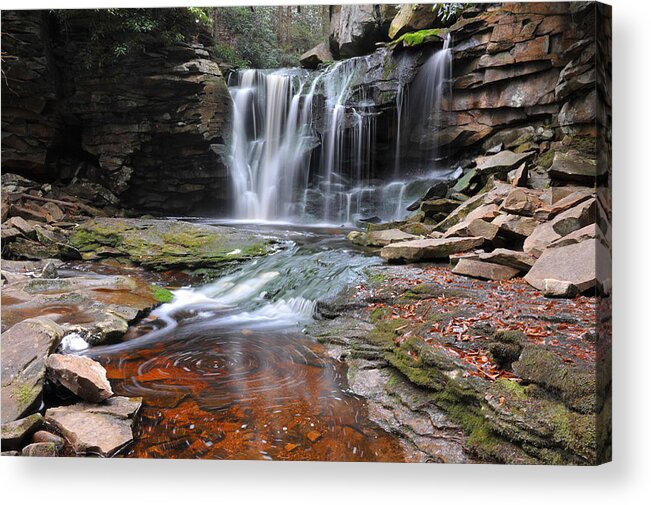 Blackwater State Park Acrylic Print featuring the photograph Elakala Fall by Dung Ma