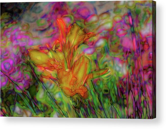 Cathy Donohoue Photography Acrylic Print featuring the photograph Electric Slide by Cathy Donohoue