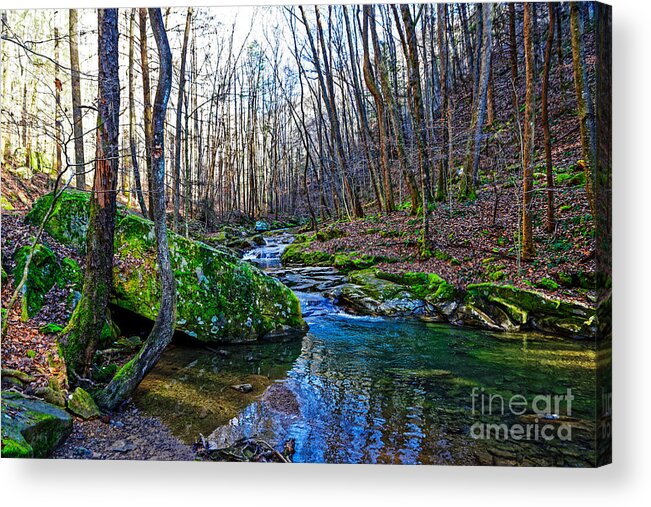 Emory Gap Branch Acrylic Print featuring the photograph Emory Gap Branch by Paul Mashburn