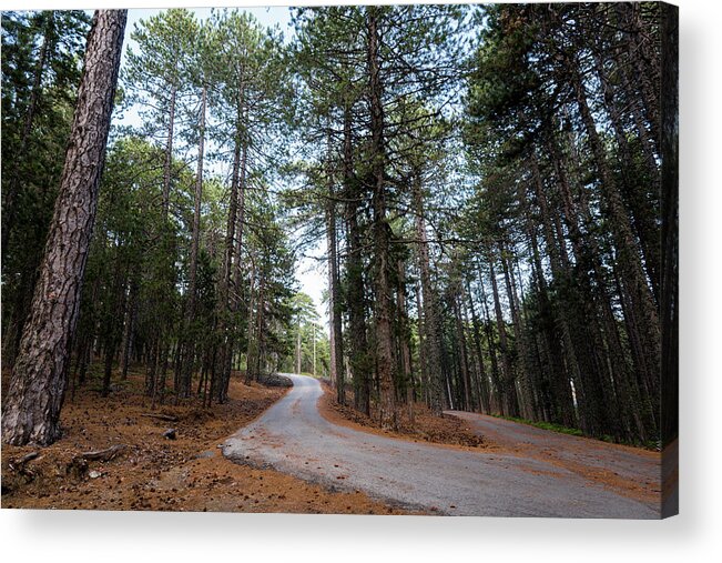 Landscape Acrylic Print featuring the photograph Empty road passing through the forest by Michalakis Ppalis