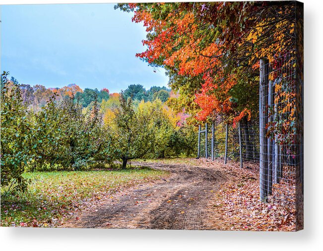 Landscape Acrylic Print featuring the photograph End of the Road by Lisa Kilby