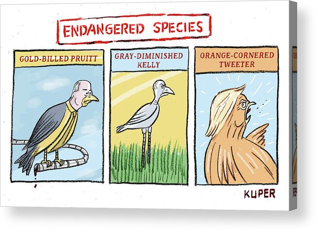 Endangered Species Acrylic Print featuring the drawing Endangered Species by Peter Kuper