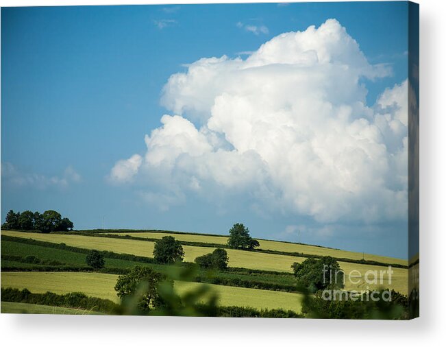 England Acrylic Print featuring the photograph English Countryside in Summer by Jan Bickerton