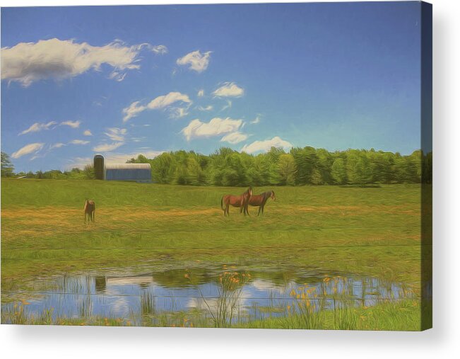 Horses Acrylic Print featuring the digital art Enjoying Spring by Sharon Batdorf