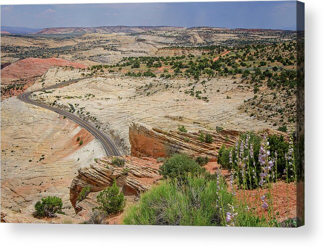 Escalante River Basin Acrylic Print featuring the photograph Escalante River Basin by Susan McMenamin