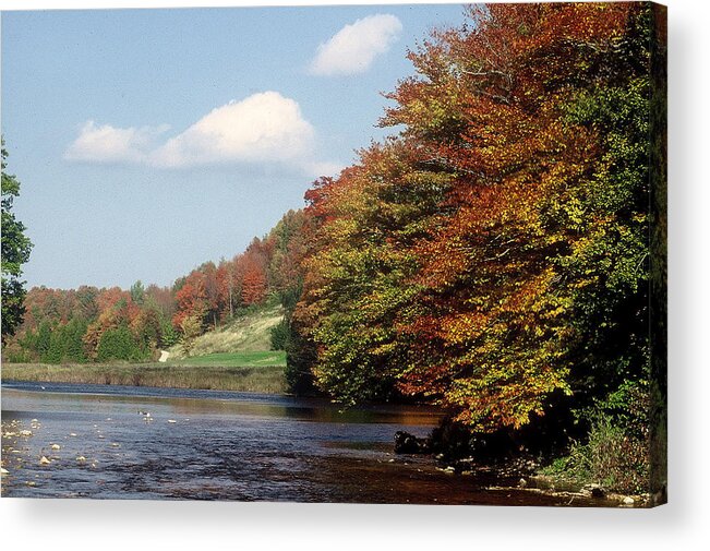 Owen Sound Acrylic Print featuring the photograph Ingliss - Fall by DArcy Evans