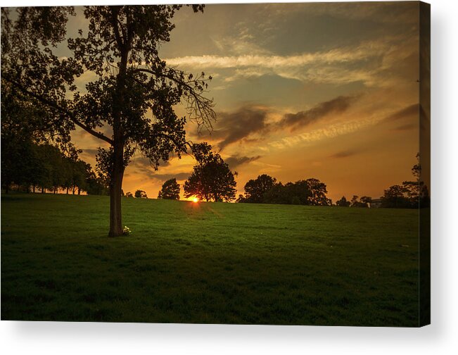 Brixton Acrylic Print featuring the photograph Evening Sun over Brockwell Park by Lenny Carter