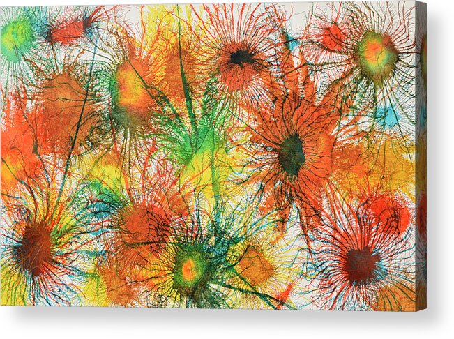 Explode Acrylic Print featuring the painting Exploflora Series number 5 by Sumit Mehndiratta