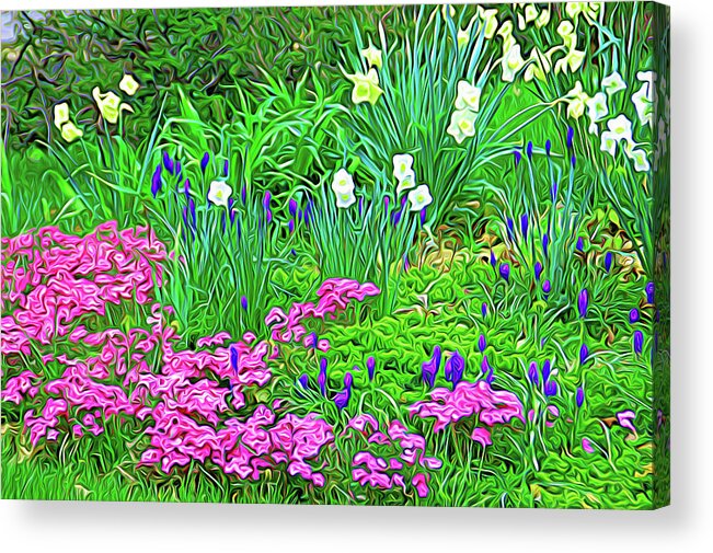 Flower Acrylic Print featuring the photograph Expressionalism Garden Escape by Aimee L Maher ALM GALLERY