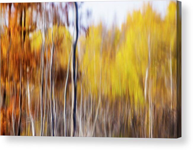 Abstract Acrylic Print featuring the photograph Fall Abstract by Mircea Costina Photography