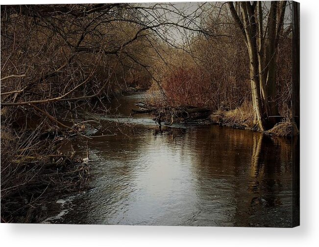 Fall Acrylic Print featuring the photograph Fall calm by Melissa Haney