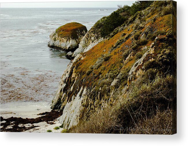 Fall Colors Engulf The Seaside Cliff At Point Lobos State Park Acrylic Print featuring the photograph Fall Cliff by Misty Tienken
