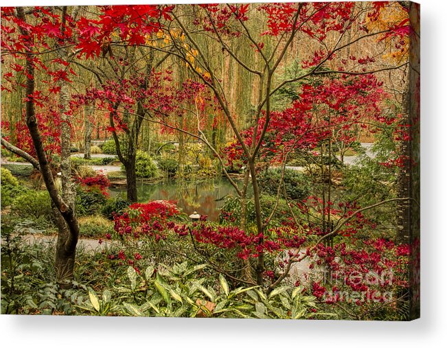 Fall Color Acrylic Print featuring the photograph Fall Color in the Japanese Gardens by Barbara Bowen