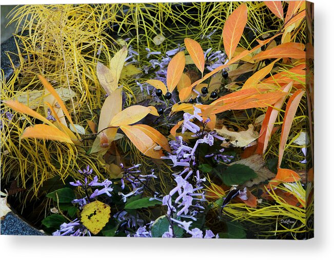 Flower Acrylic Print featuring the photograph Fall Color Soup by Deborah Crew-Johnson