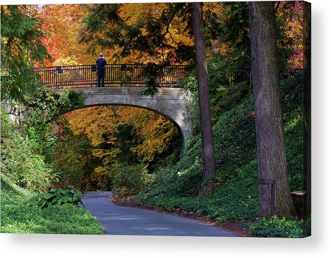 Trees Acrylic Print featuring the photograph Fall foliage at Longwood Gardens by Frank Tozier