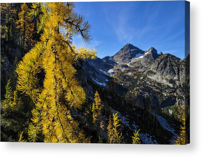 Footpath Acrylic Print featuring the photograph Fall Foliage Maple Pass Loop by Pelo Blanco Photo