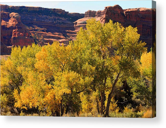 Reef In The Arches National Park. Image Is From My Book stopping By Woods Acrylic Print featuring the photograph Fall In The Arches by Lawrence Christopher