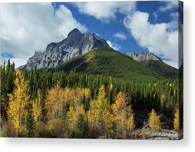 Clouds Acrylic Print featuring the photograph Fall in the Rockies by Celine Pollard