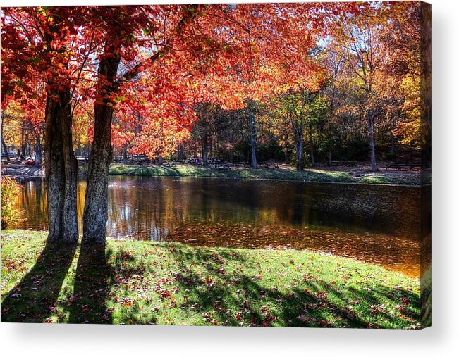 Fall Landscape Acrylic Print featuring the photograph Fall landscape by Ronda Ryan