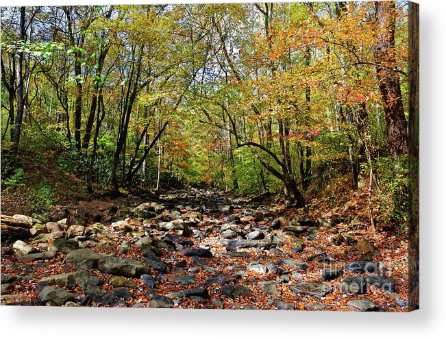 Fall Acrylic Print featuring the photograph Fall On Clifty Creek by Paul Mashburn